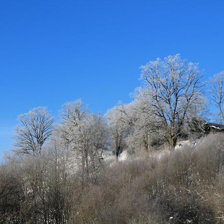 Belvedere Appart & Chalet - Ihr Zuhause Auf Zeit Am Edersee - Ihr Geschenk Die Gaestecard Grimmheimat Waldeck  Eksteriør billede